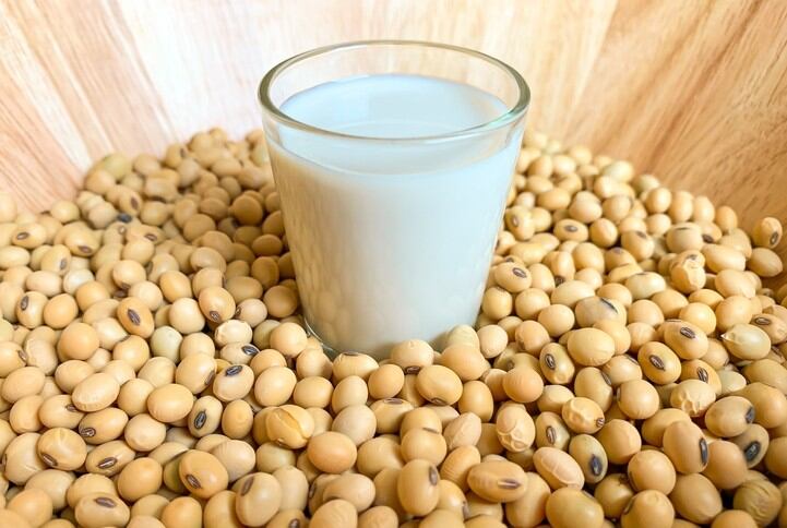 Ageing support: Soy peptide supplementation may benefit motor, memory function in the elderly - Japanese RCT