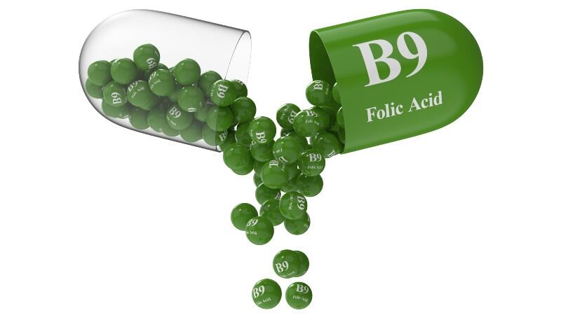 Folic acid and iodine supplementation speeds up conception rate – new study