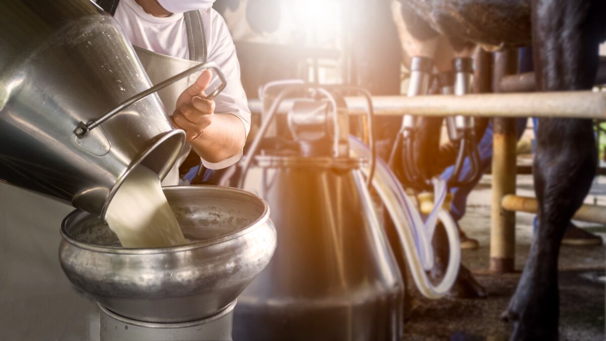Potential for non-infant nutrition use of patented MFGM ingredients as NZMP eyes China and South East Asia