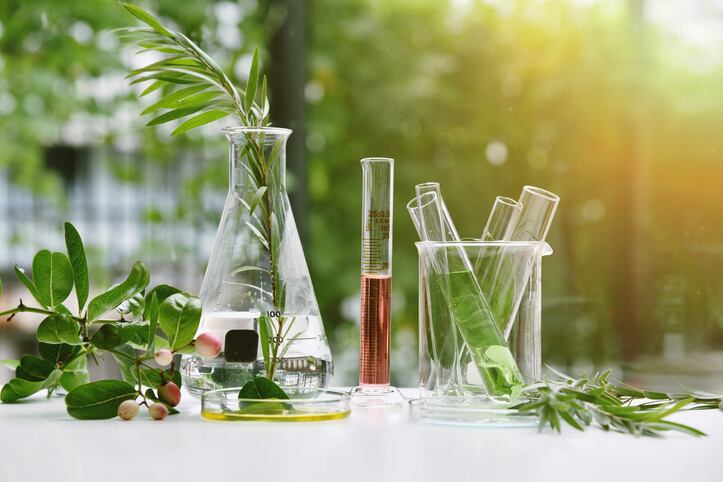 Supplier focus: The top 10 most-read functional ingredient suppliers news in 2024