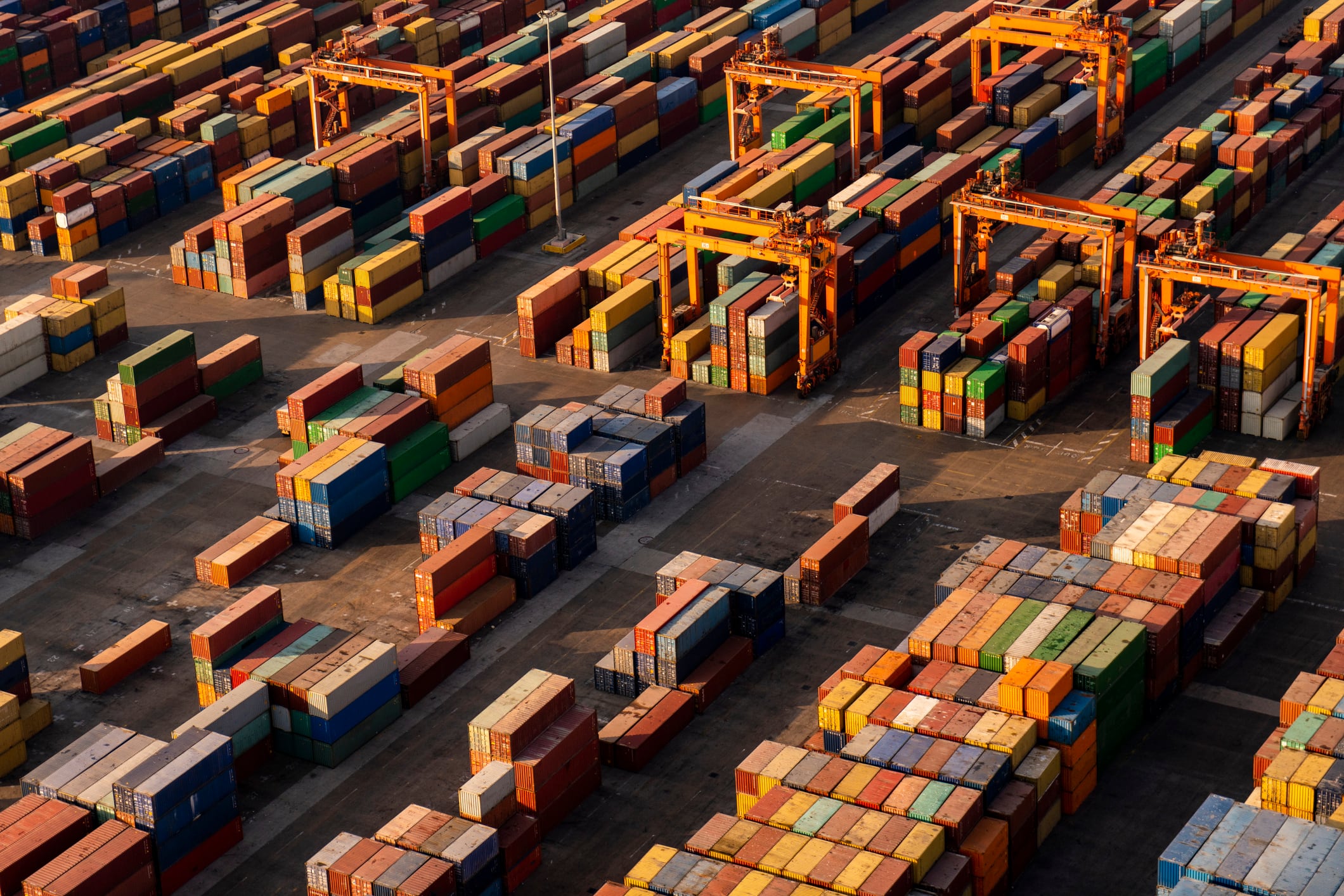 Tariffs anticipation: US the top importer of China’s health foods in 2024 
