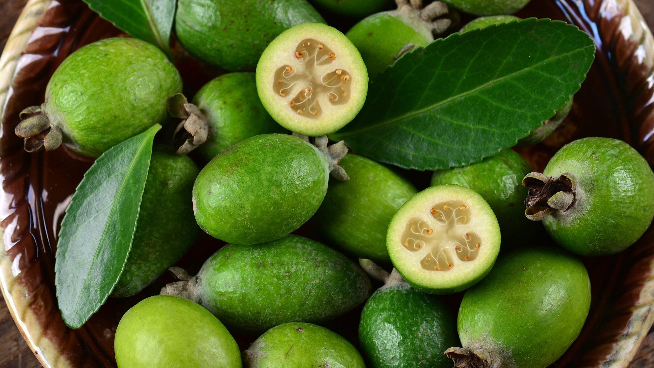 Health and trade potential: NZ’s backyard fruit Feijoa studied for its ability to prevent diabetes  