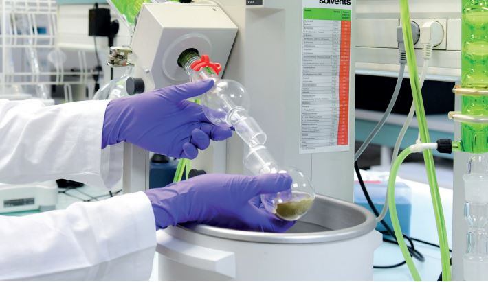 Nestlé enters deal to develop plant extract blend to fight diabetes