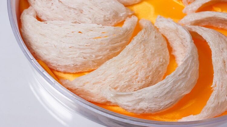 Bird’s nest immunity boom? Malaysian industry cooperative sees rebound in Chinese demand