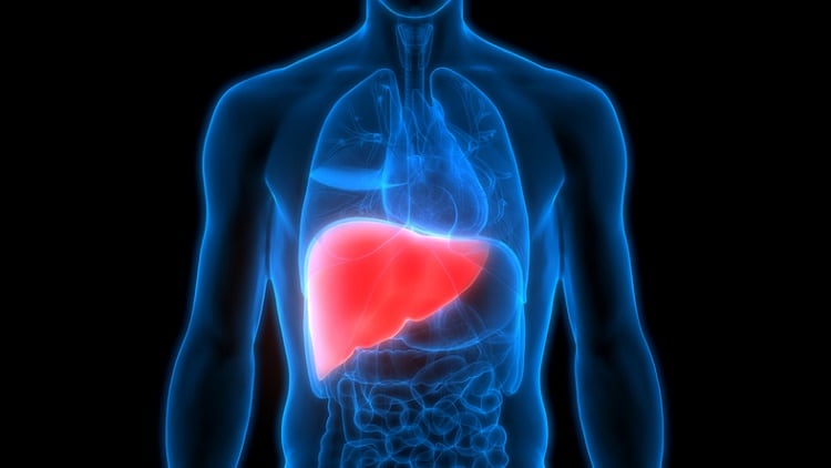 South Korean agency to drive wheat germ functional food opportunities amid NAFLD benefits