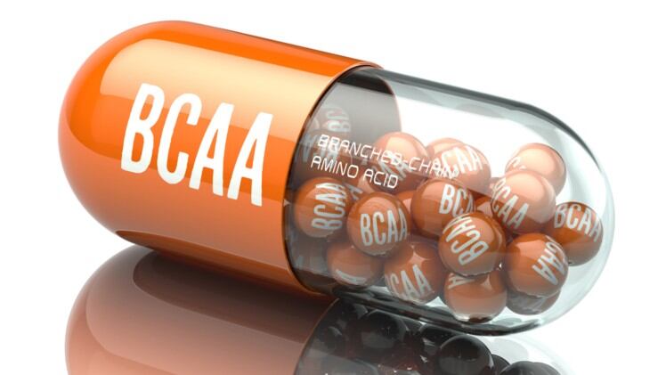 Excessive-BCAA-intake-linked-to-over-eating-and-obesity-Australian-mice-study.jpg