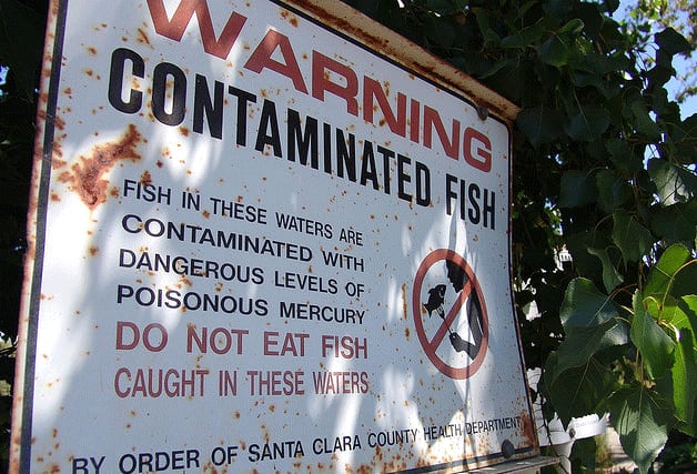 Mercury-Contamination.png
