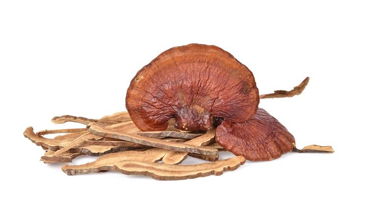 Chinese herbs focus: Direct selling firm Infinitus sets out stall for South East Asia expansion