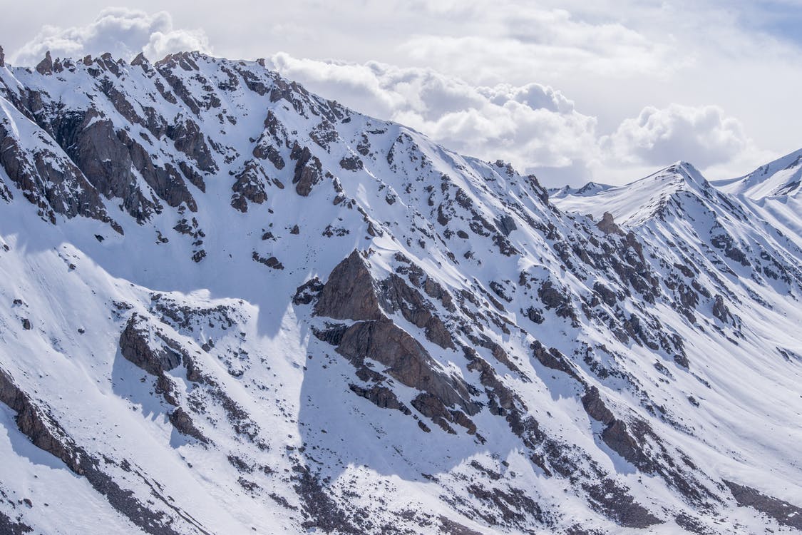 Natreon says organic stamp on shilajit ingredient backs quality message