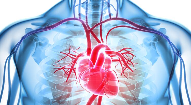 The K2 Forum: The growing importance of vitamin K2