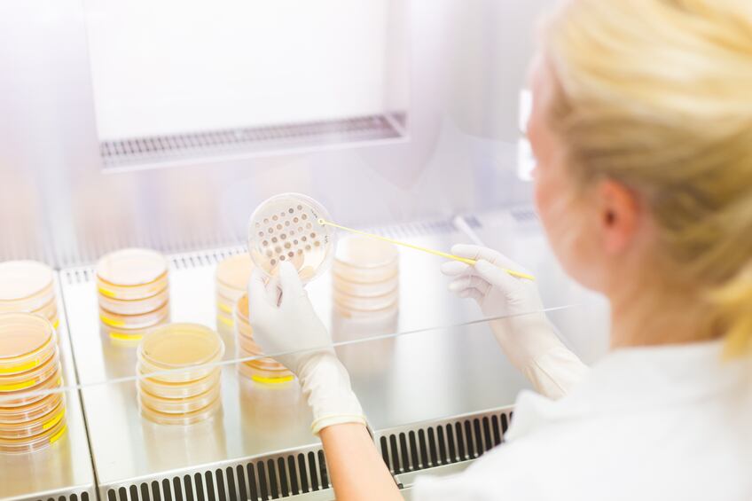 Faecal microbiota transplantation shows value in tackling bowel disorder