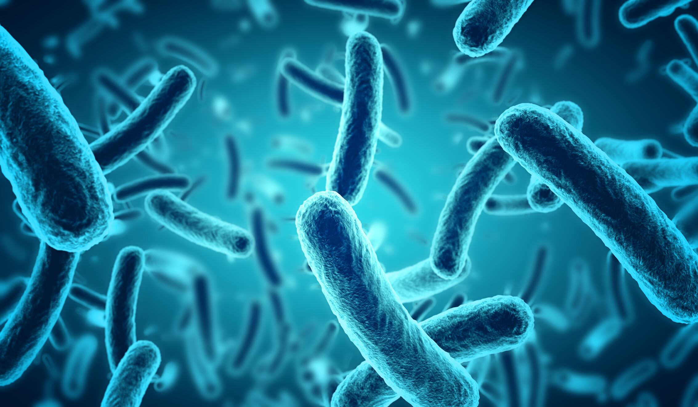 Dr Gregor Reid: ‘Too much misinformation has stemmed from misuse of the probiotic term’