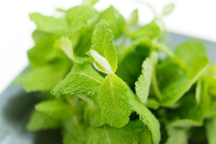 Mibelle ventures into skin brightening with apple mint leaves extract launch