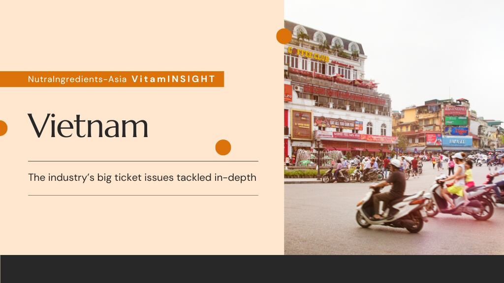 Vietnam nutra market: Bone, cognition health trending, with botanicals and traditional formats popular – Exclusive insights