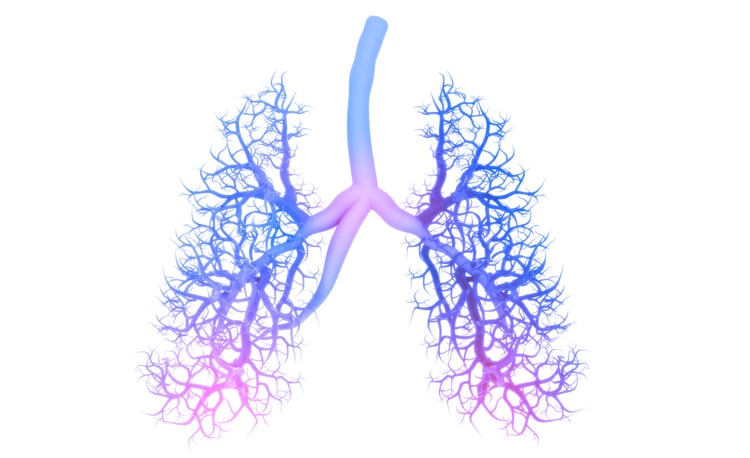 Probiotic combined with antibiotics shortens fever duration, improves stool consistency in pneumonia patients – Korea study