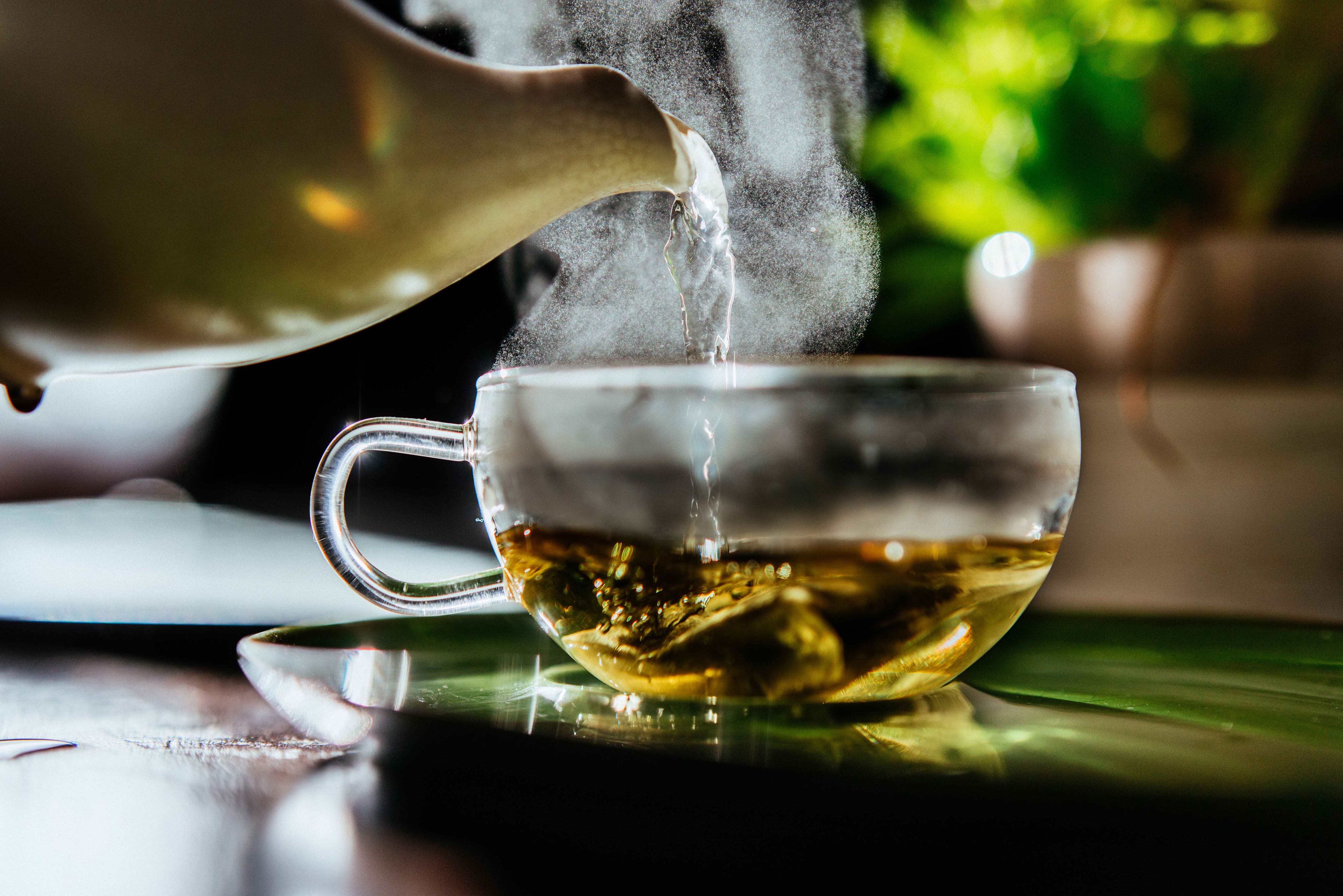 Traditional-Medicinals-How-the-extract-industry-can-best-tap-into-the-bagged-tea-sector.jpg