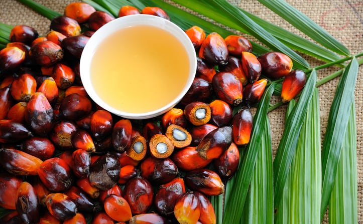 Tocotrienol rules boost: Malaysia’s pending health claims will be beneficial in driving consumer awareness
