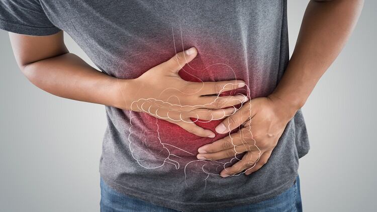 Supplements for IBS? Davos to undertake human trial of tocotrienols’ efficacy following mice findings