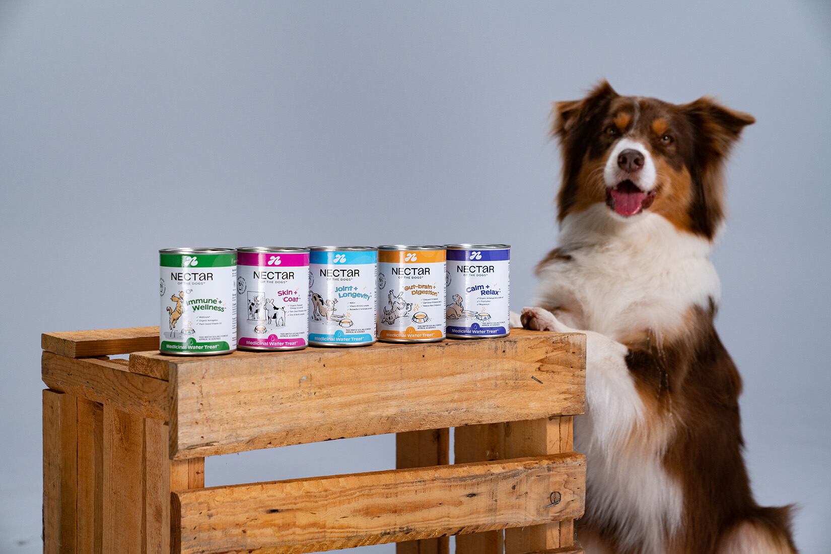 A different ballgame: Consumer education crucial to drive pet supplements growth – Nectar of the dogs 