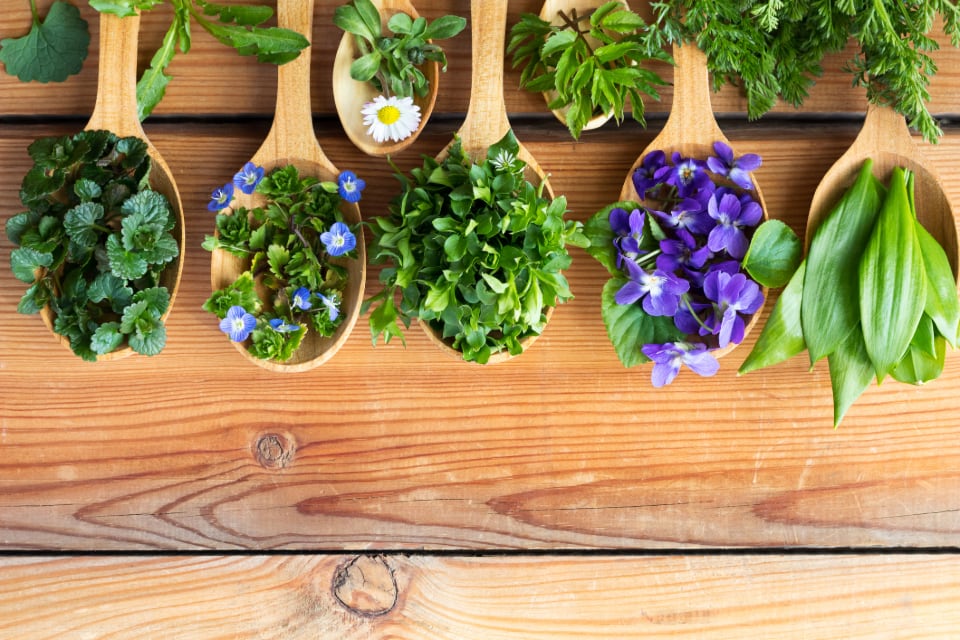 Hot Right Now: Morbid obesity in vegetarianism, hemp-derived omega-3, and steroid controversy among our hottest stories on social media