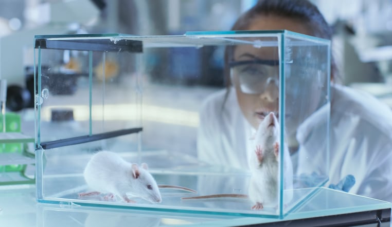 Anti-fatigue-health-claims-Taiwan-animal-test-ban-to-increase-cost-and-time-for-registering-products.png