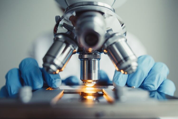 DuPont-study-finds-link-between-higher-dose-of-multiple-probiotics-and-better-colonization.jpg