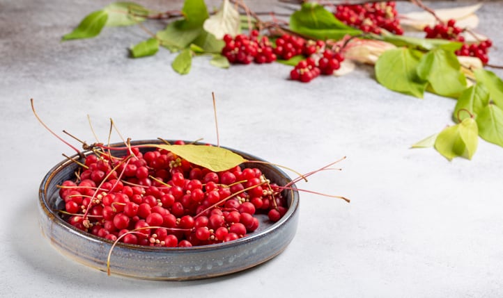 Berries for glucose control: New supplement on the cards after Korean researchers record positive RCT results