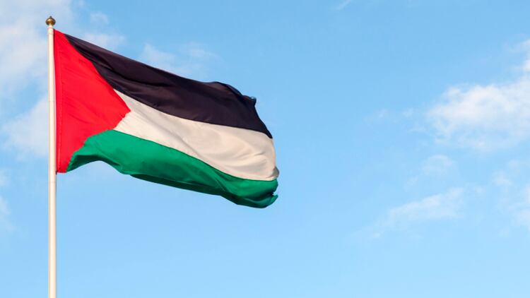 Undernutrition, stunting rife: Dire state of diets among Palestinian kids underlined by new study