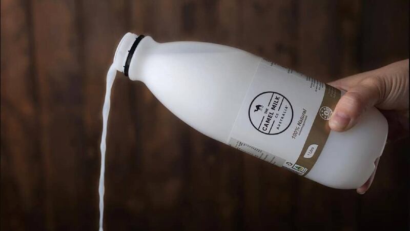Camel campaign: Australian camel milk firm takes online sales global to address rising post-COVID-19 demand