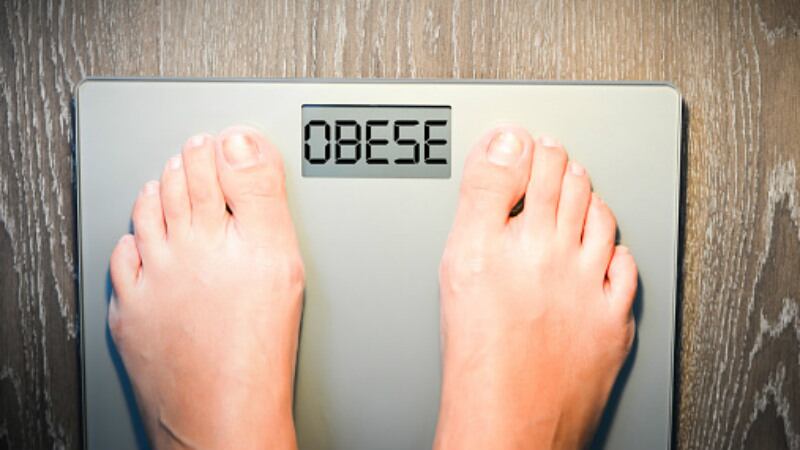 Better late than never? New Zealand government finally responds to industry’s anti-obesity plan 