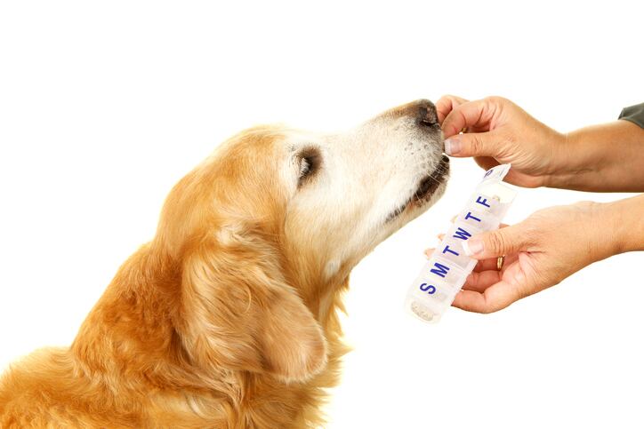 Prominent animal supplement stakeholder shares insight into supply chain, cautions industry
