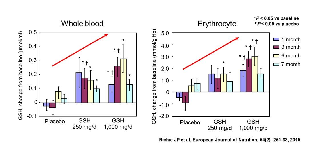 GSH-in-blood-resized.jpg