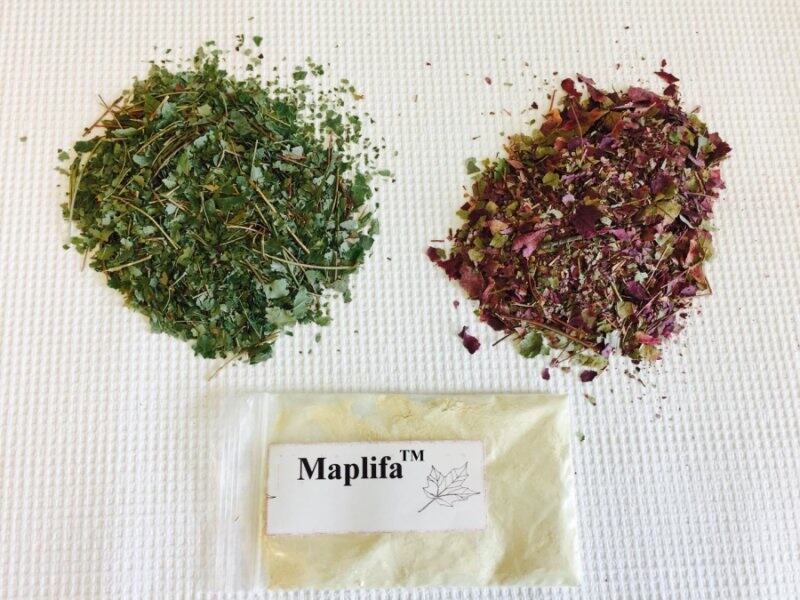 Maplifa.jpg
