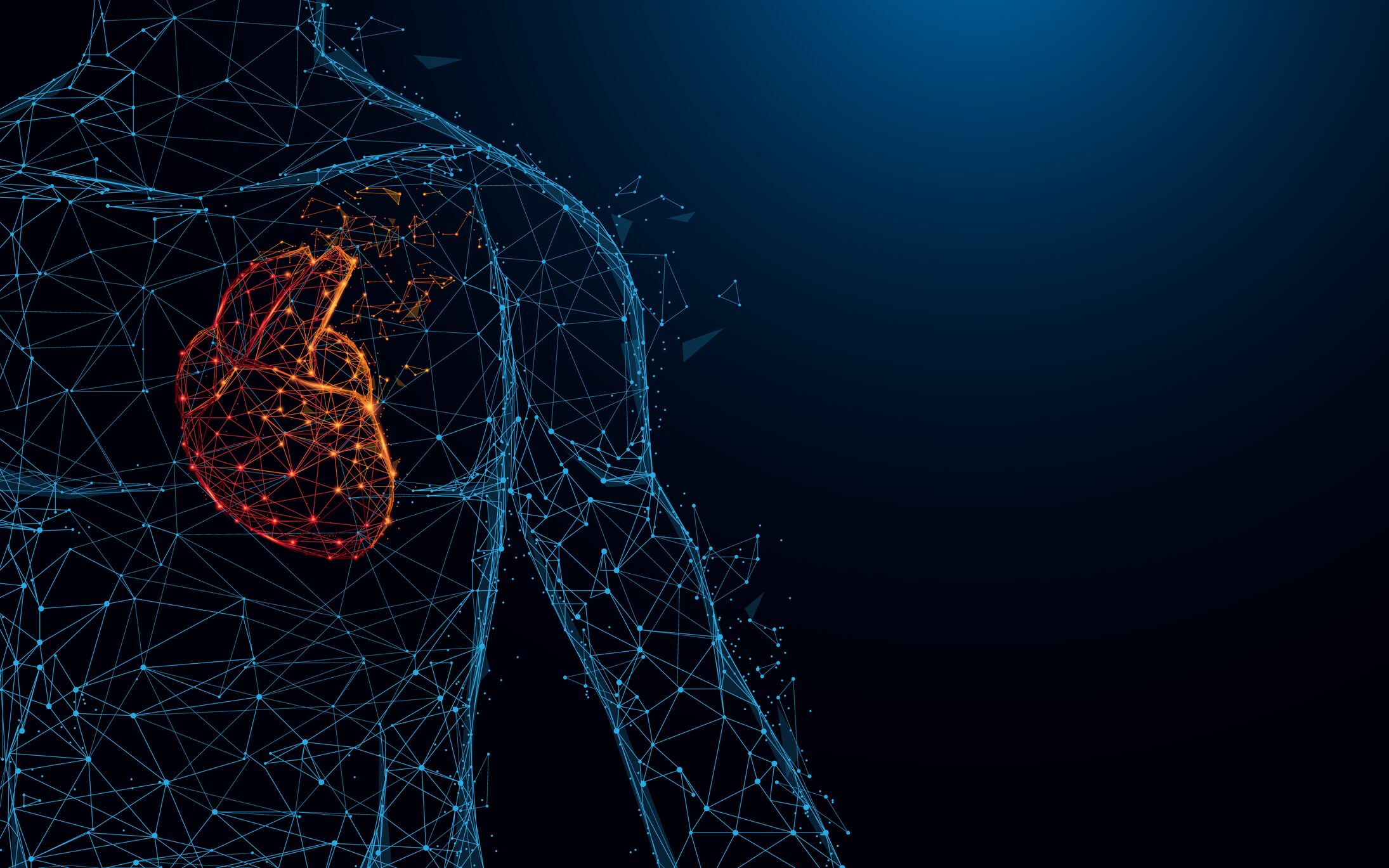 New-data-supports-nicotinamide-riboside-s-potential-heart-health-benefits.jpg
