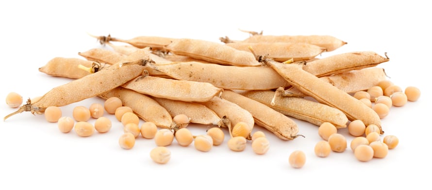 Yellow pea improves oxidative stress, shows promise for cardiovascular disease prevention – RCT
