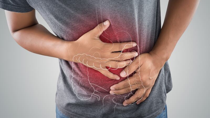 Human gut-derived multi-strain probiotics found to be effective in alleviating IBS symptoms and improving quality of life – study