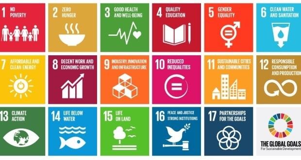 'Do less and do differently': Why innovation and reduction are both crucial for sustainability — DSM nutrition CEO