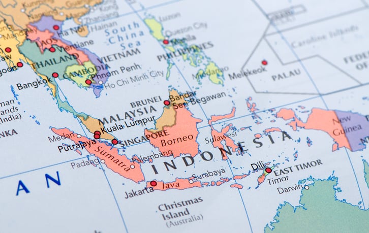 Growth 2024: Why South East Asian countries are the emerging nutrition markets to look out for this year