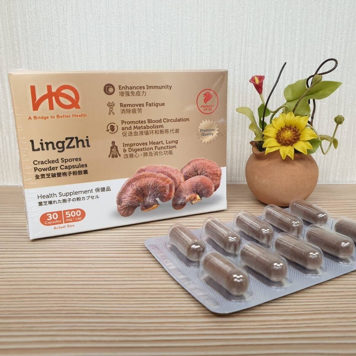HQ-gano-lingzhi.jpg