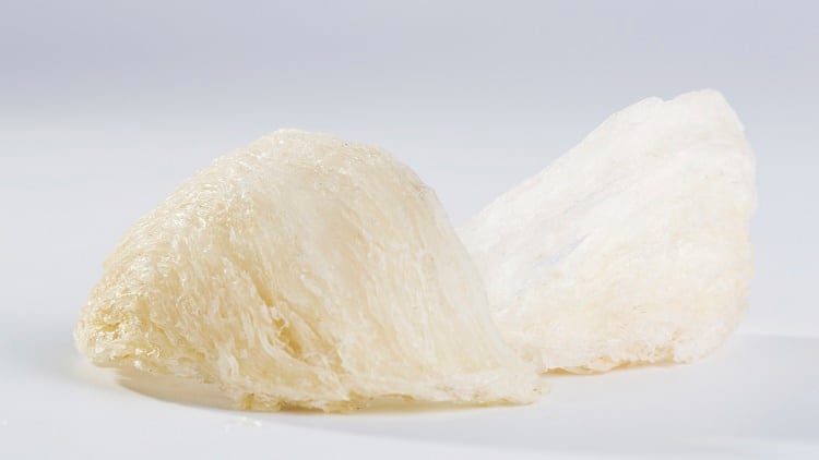 Indonesia’s bird’s nest expansion: Exports from Surabaya grew by 25%