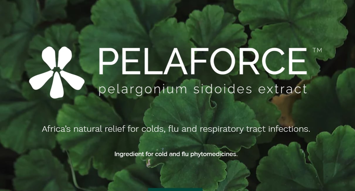 New botanical extract: Aussie regulator TGA will be asked to approve branded Pelargonium sidoides ingredient