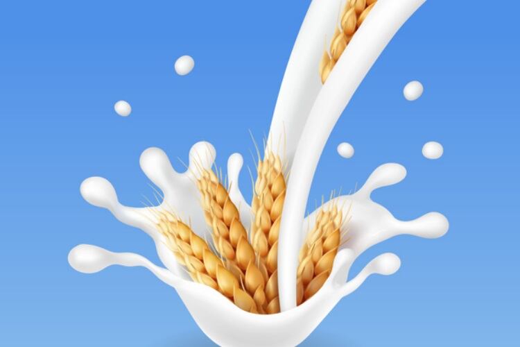 New dietary fibre insights drive nutritional and health launches
