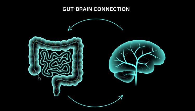 Clear benefits: Why the gut-organ axis a real opportunity for probiotic innovation – H&H Group