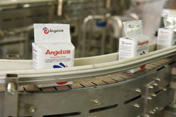 Egypt expansion: Angel Yeast opens first-of-its-kind extract factory in Middle East nation