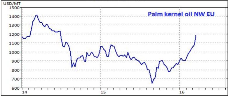 Palm-kernel-oil-prices.png