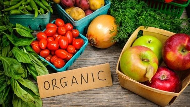 Organic ownership: India food authority orders upgrades for all state labs to boost exports