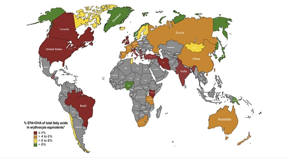 Map.jpg