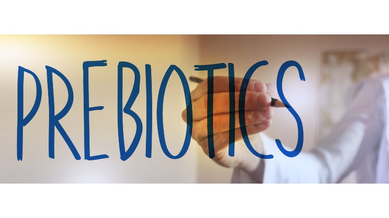 Yeast-derived prebiotic could enhance gut motility and sleep quality – Asahi-funded study