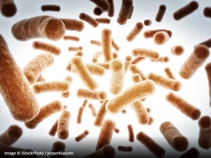 Industry groups call for regulatory and consumer clarity of ‘probiotic’ term
