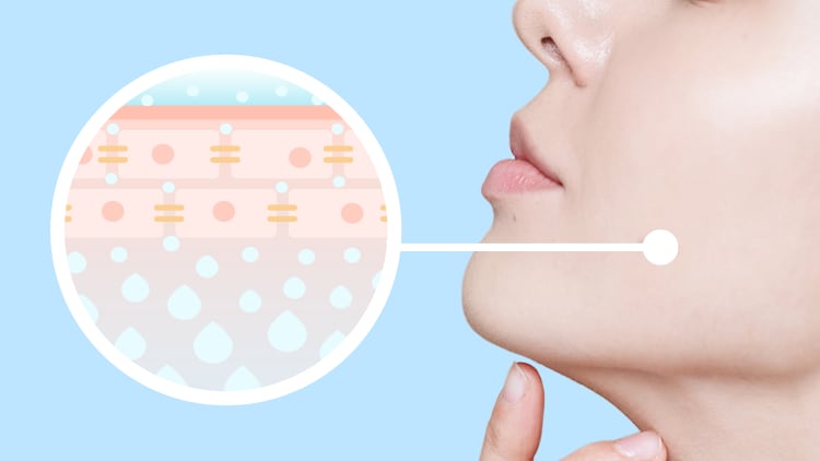 New Clinical Study- Immunity and Skin Moisture